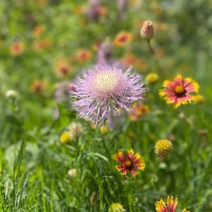 Meet your Posher, Charlotte